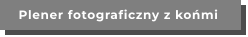 Plener fotograficzny z końmi